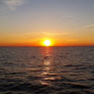 Meet your Posher, Safa